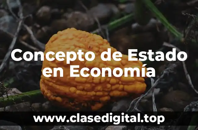 Concepto de Estado en Economía
