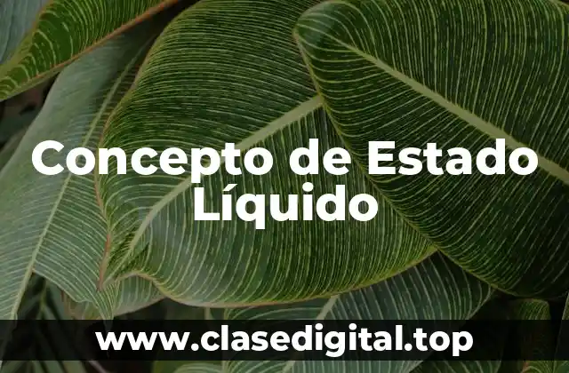 Concepto de Estado Líquido