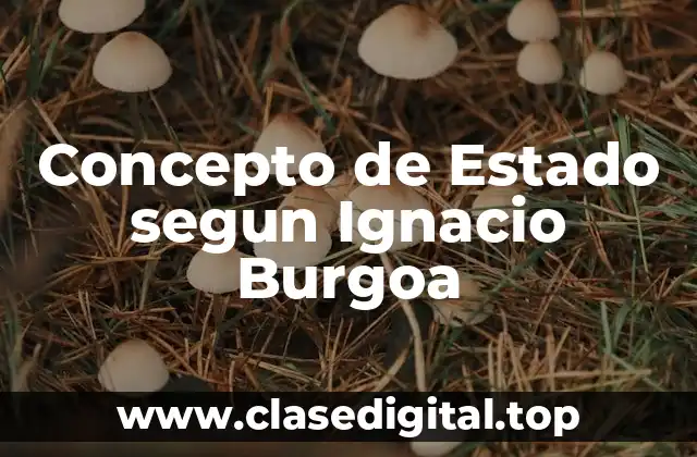 Concepto de Estado segun Ignacio Burgoa