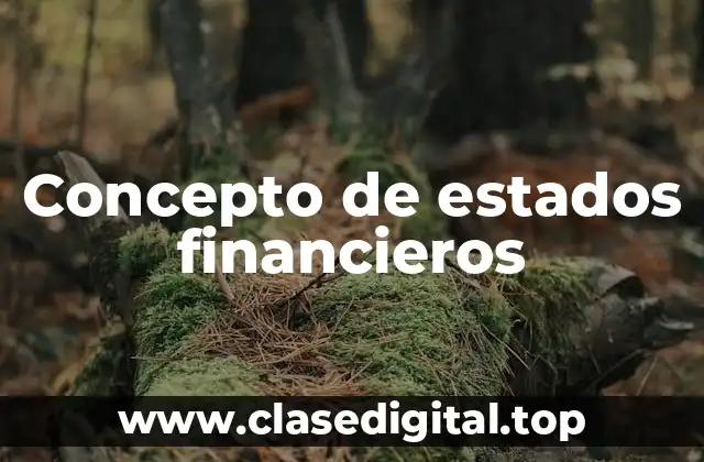 Concepto de estados financieros
