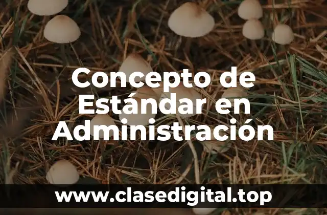 Concepto de Estándar en Administración