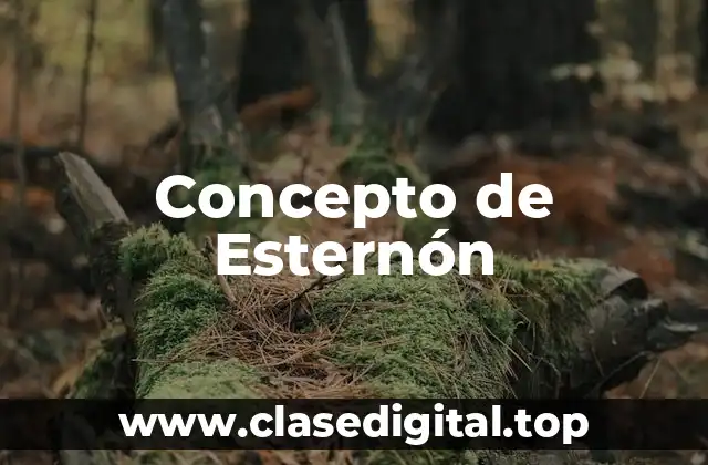Concepto de Esternón
