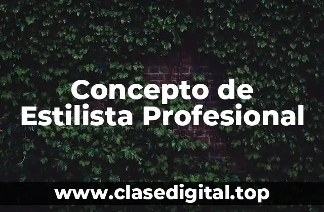 Concepto de Estilista Profesional