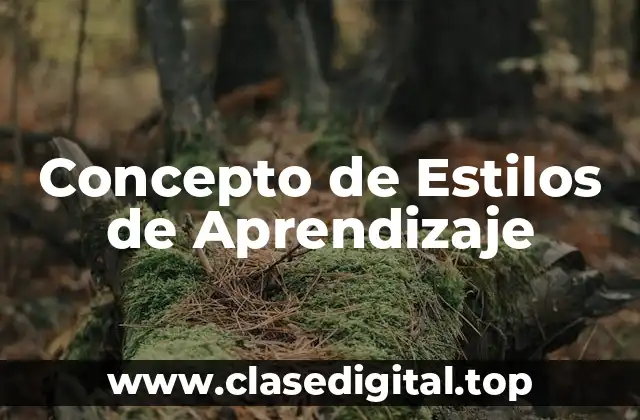 Concepto de Estilos de Aprendizaje