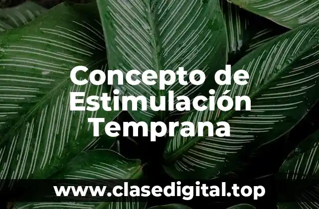 Concepto de Estimulación Temprana