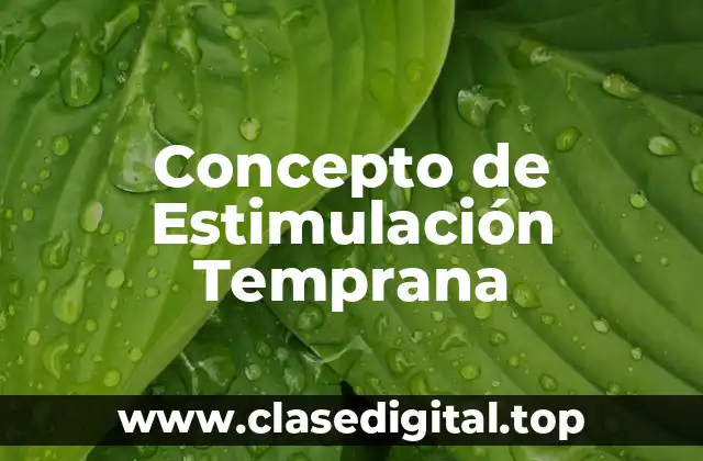 📗 Concepto de Estimulación Temprana