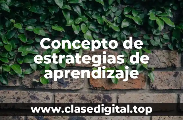 Concepto de estrategias de aprendizaje