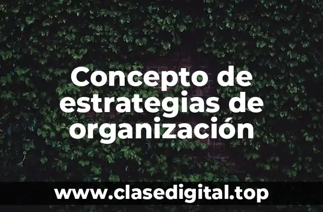 Concepto de estrategias de organización