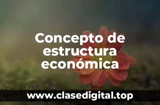 Concepto de estructura económica