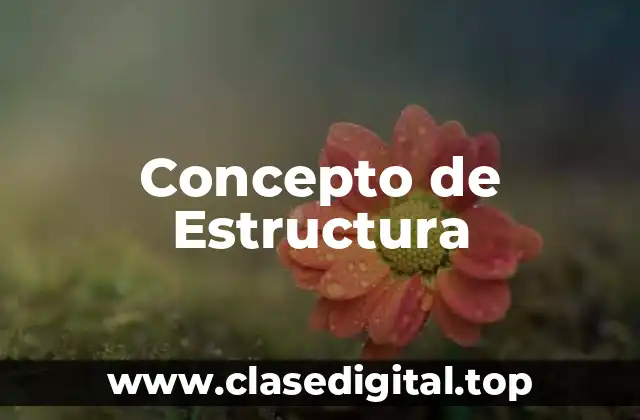 Concepto de Estructura