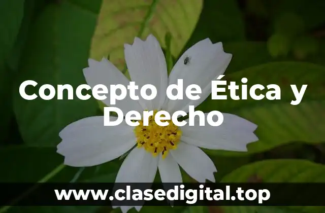 Concepto de Ética y Derecho