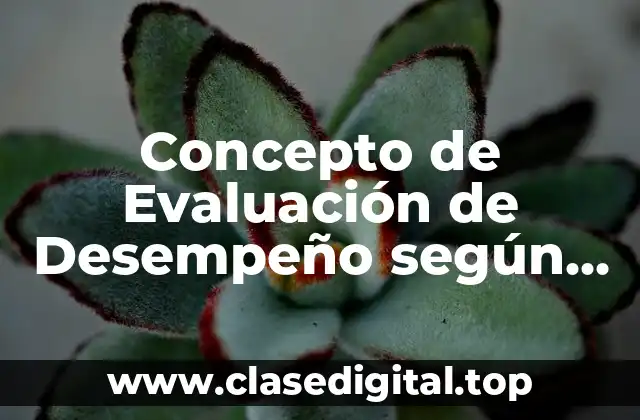 Concepto de Evaluación de Desempeño según Autores