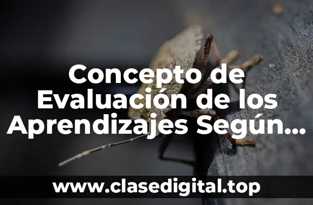 Concepto de Evaluación de los Aprendizajes Según Autores