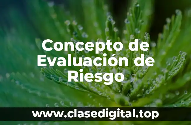 Concepto de Evaluación de Riesgo