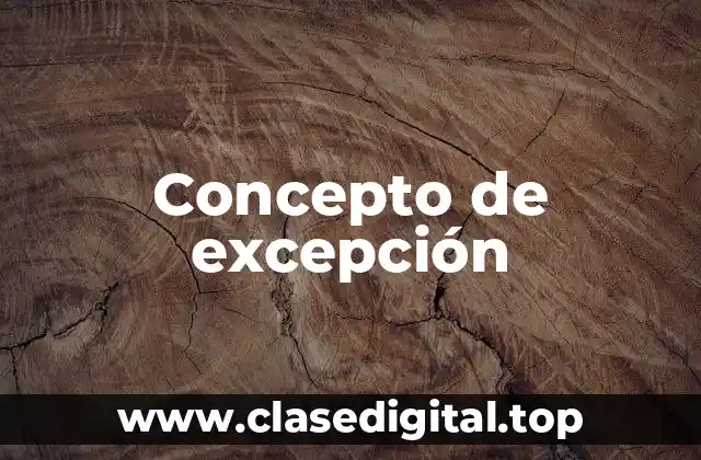 Concepto de excepción