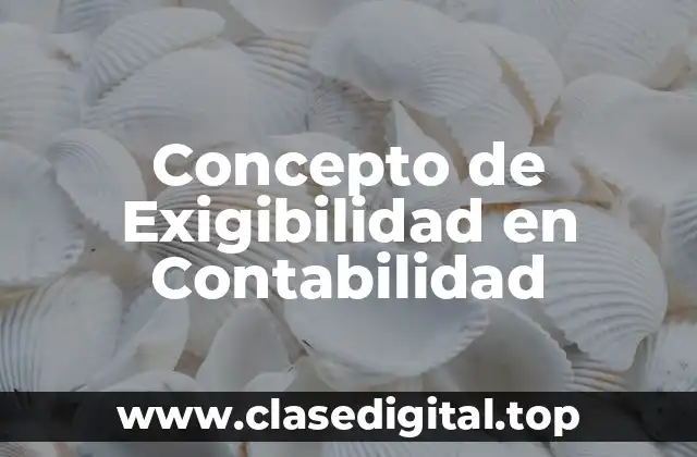 Concepto de Exigibilidad en Contabilidad