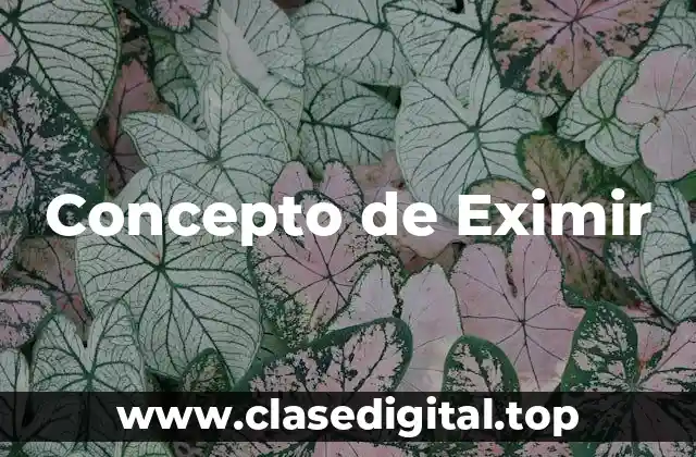 ✔️ Concepto de Eximir