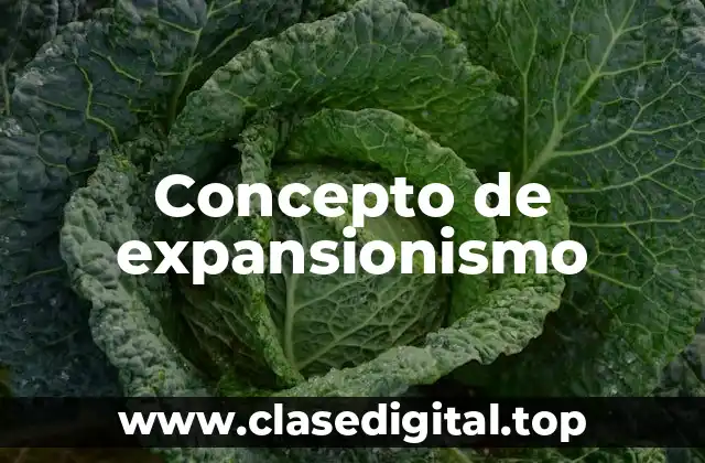 Concepto de expansionismo