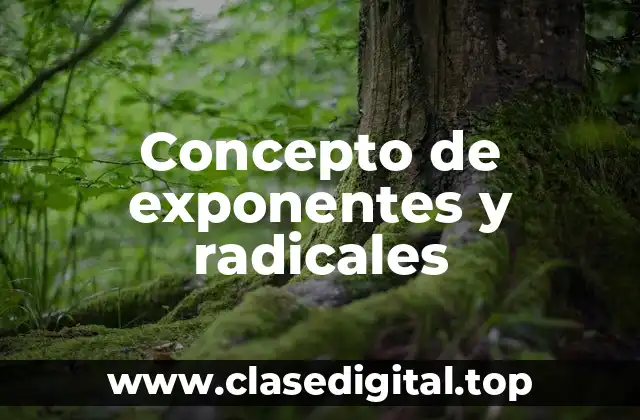 Concepto de exponentes y radicales
