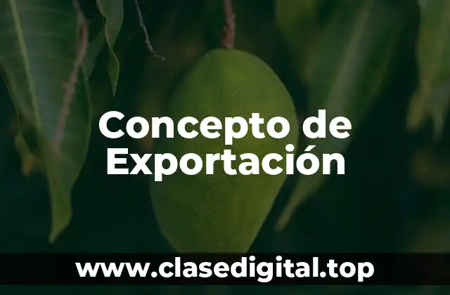 📗 Concepto de Exportación