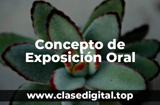 Concepto de Exposición Oral