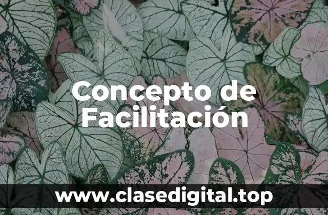 Concepto de Facilitación