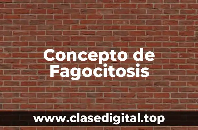 Concepto de Fagocitosis