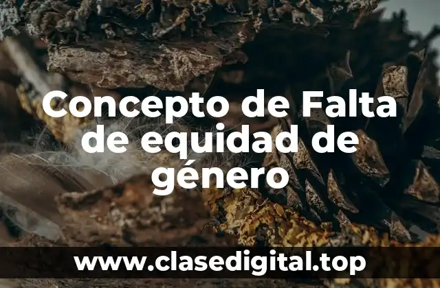 Concepto de Falta de equidad de género