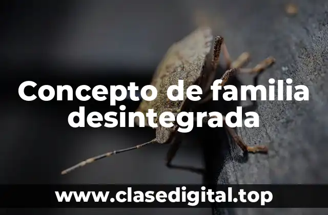 Concepto de familia desintegrada