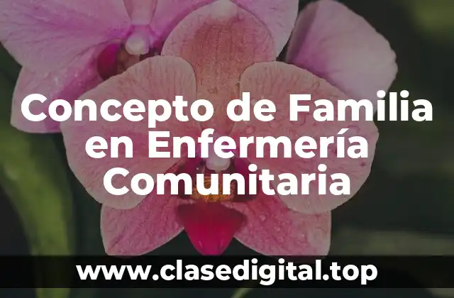 Concepto de Familia en Enfermería Comunitaria