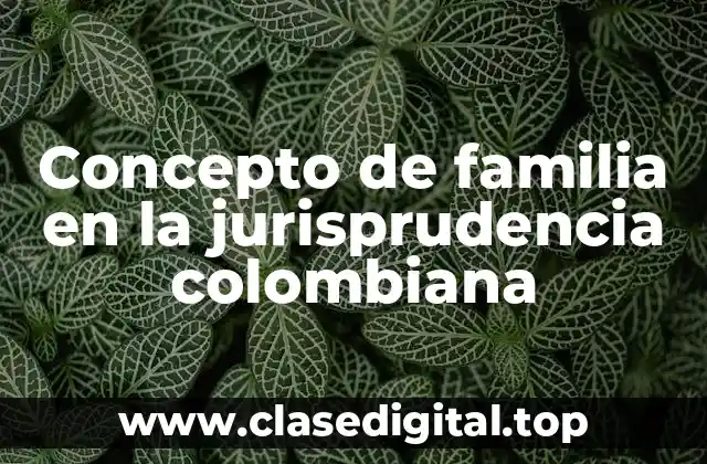 Concepto de familia en la jurisprudencia colombiana