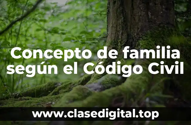 Concepto de familia según el Código Civil