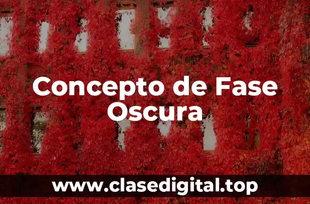 Concepto de Fase Oscura