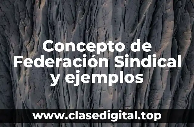 Concepto de Federación Sindical y ejemplos