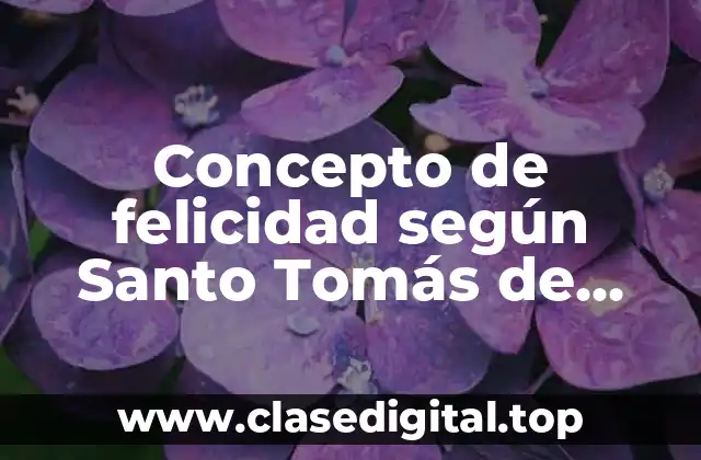 Concepto de felicidad según Santo Tomás de Aquino