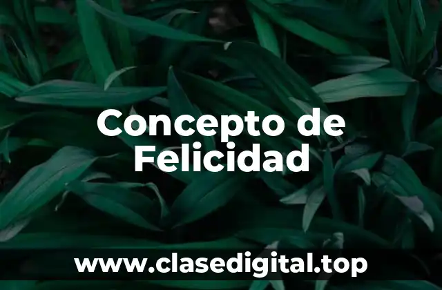 Concepto de Felicidad