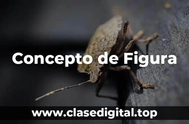 Concepto de Figura