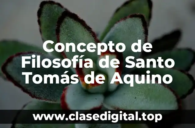 Concepto de Filosofía de Santo Tomás de Aquino