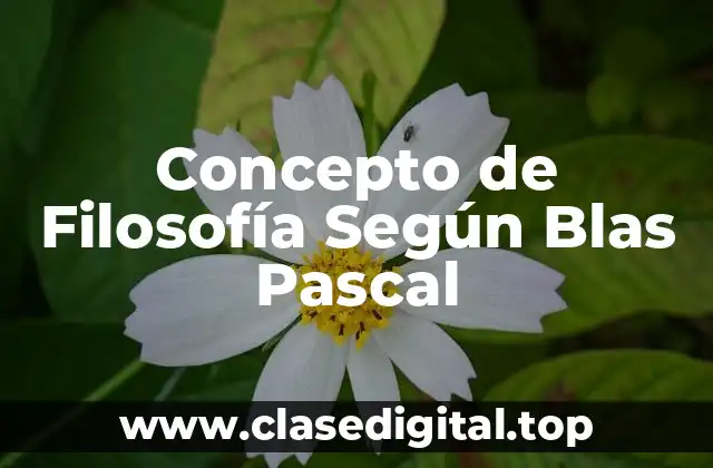 Concepto de Filosofía Según Blas Pascal