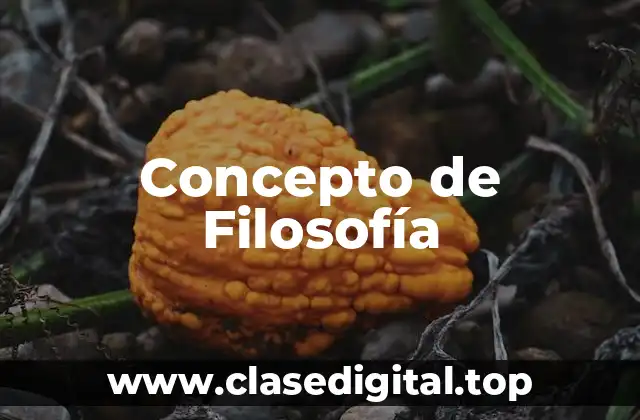 📗 Concepto de Filosofía
