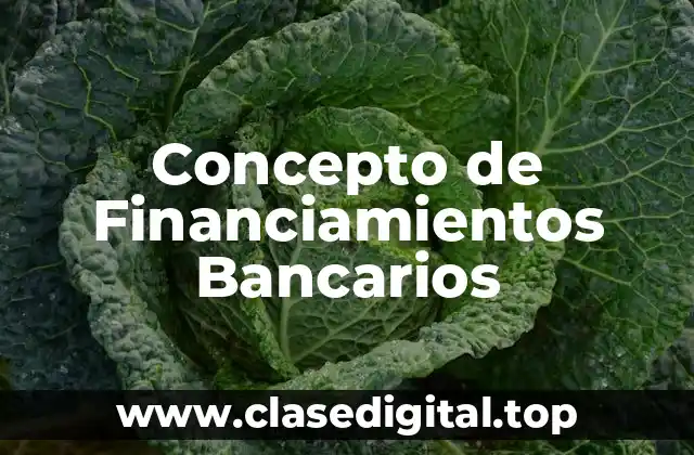 Concepto de Financiamientos Bancarios