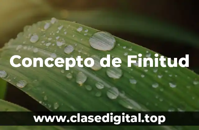 Concepto de Finitud