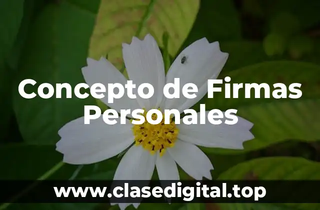 Concepto de Firmas Personales
