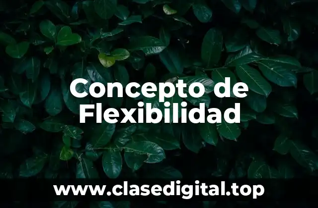 Concepto de Flexibilidad
