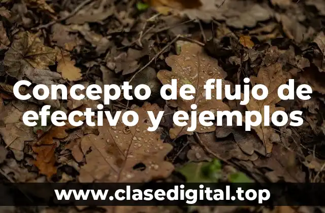 Concepto de flujo de efectivo y ejemplos