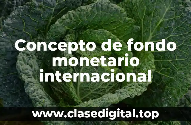 Concepto de fondo monetario internacional