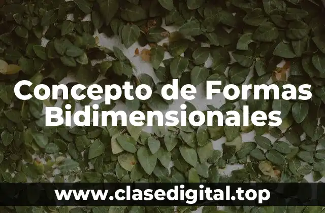 Concepto de Formas Bidimensionales