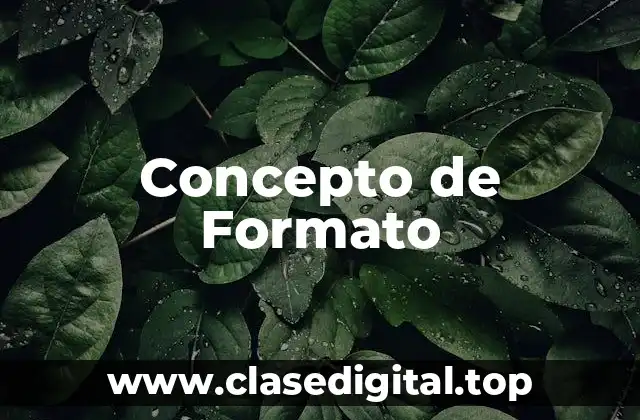 Concepto de Formato