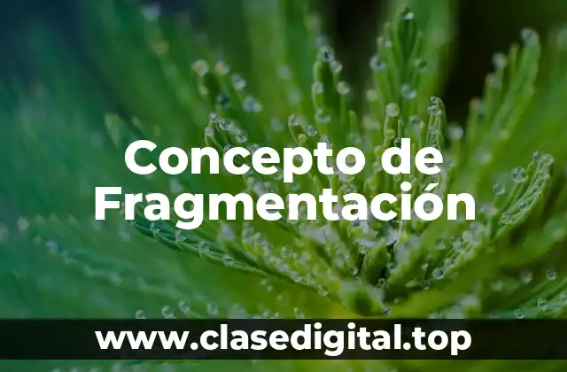 Concepto de Fragmentación
