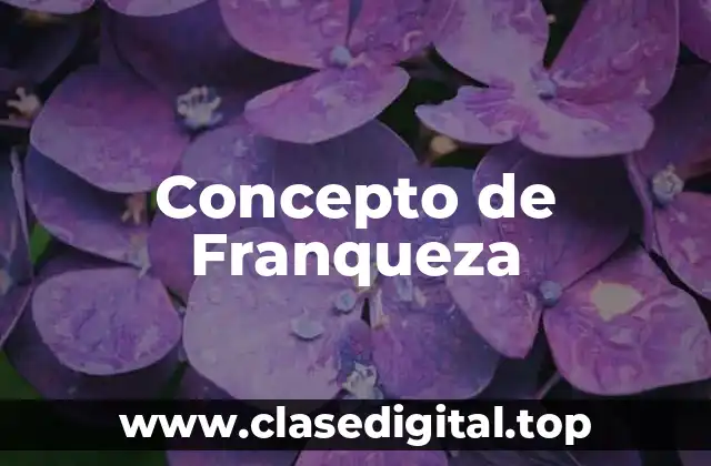 Concepto de Franqueza